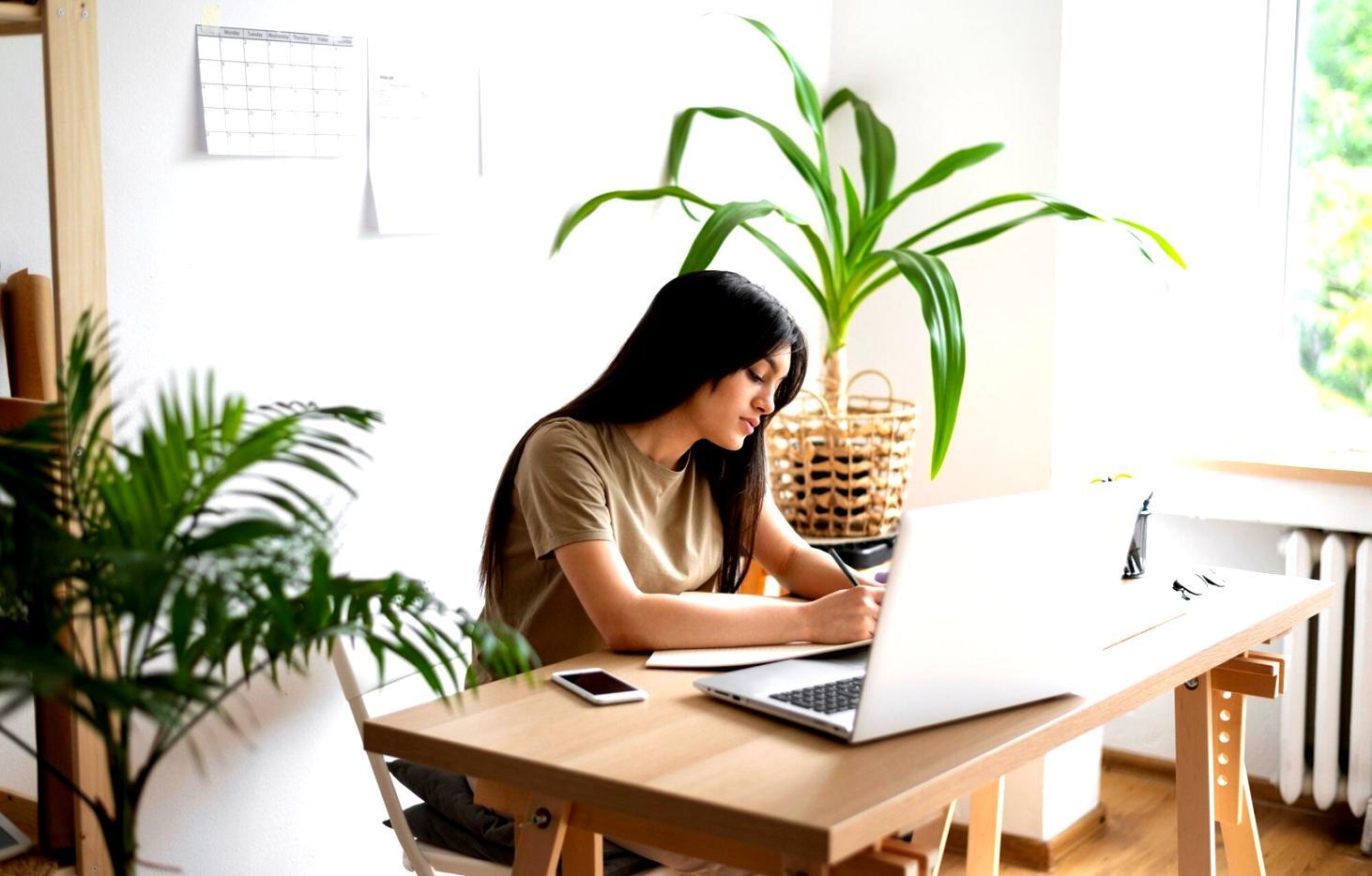 Business owner reviewing financial reports and making strategic decisions